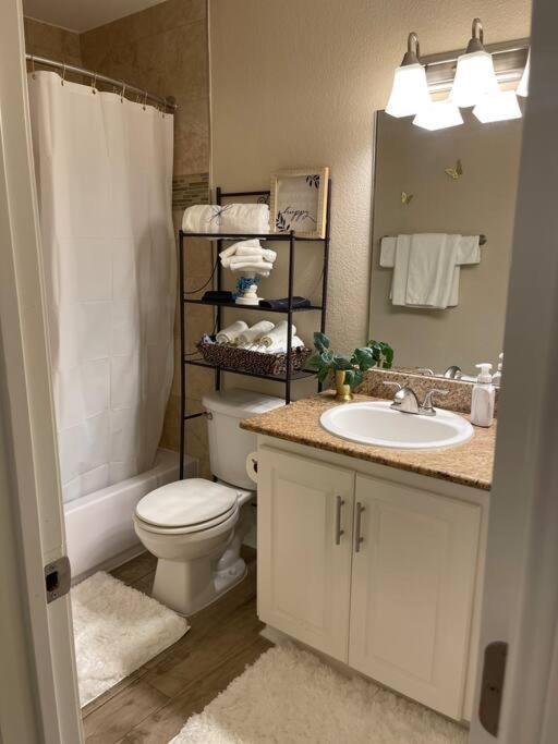 Beautiful/Spacious 2 Bedroom Houston Near Galleria Luaran gambar