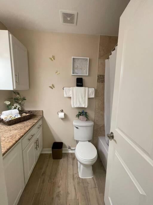 Beautiful/Spacious 2 Bedroom Houston Near Galleria Luaran gambar